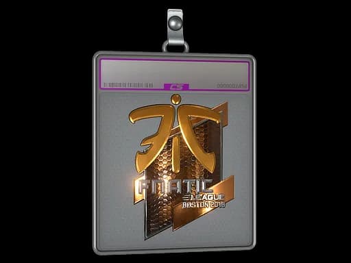 Sticker Slab | Fnatic (Foil) | Boston 2018