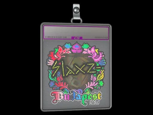 Sticker Slab | slaxz- (Holo) | Budapest 2025