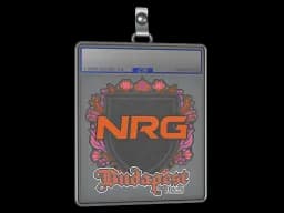 Sticker Slab | NRG | Budapest 2025