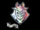 Sticker | G2 Esports | Paris 2023 CS2 skin