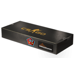 DreamHack 2014 Mirage Souvenir Package