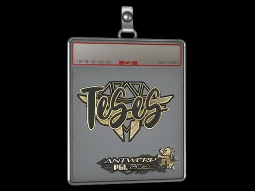 Sticker Slab | TeSeS (Gold) | Antwerp 2022