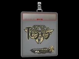 Sticker Slab | TeSeS (Gold) | Antwerp 2022