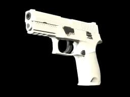 P250 | Whiteout (Minimal Wear)