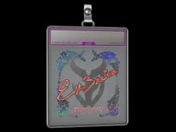 Sticker Slab | Ex3rcice (Holo) | Austin 2025