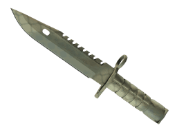 ★ M9 Bayonet | Safari Mesh (Minimal Wear)