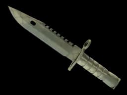 ★ M9 Bayonet | Safari Mesh (Minimal Wear)