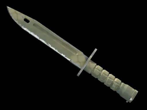 ★ Bayonet | Safari Mesh (Well-Worn)