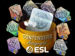 Rio 2022 Contenders Autograph Capsule - CS2 Skin Prices