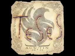 Sticker | TeSeS | Austin 2025