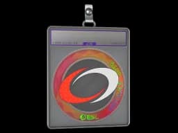 Sticker Slab | compLexity Gaming (Holo) | Katowice 2019