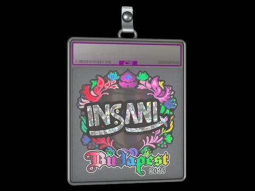 Sticker Slab | insani (Holo) | Budapest 2025