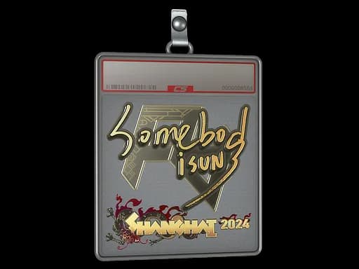 Sticker Slab | somebody (Gold) | Shanghai 2024
