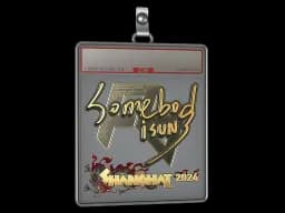 Sticker Slab | somebody (Gold) | Shanghai 2024