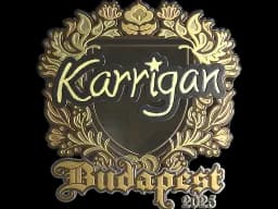 Sticker | karrigan (Gold) | Budapest 2025