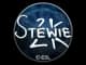 Sticker | Stewie2K | Katowice 2019 CS2 skin