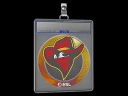 Sticker Slab | Renegades | Katowice 2019