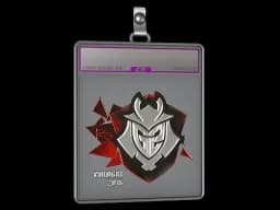 Sticker Slab | G2 Esports (Foil) | Cologne 2016