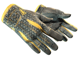 ★ Sport Gloves | Omega (Minimal Wear)