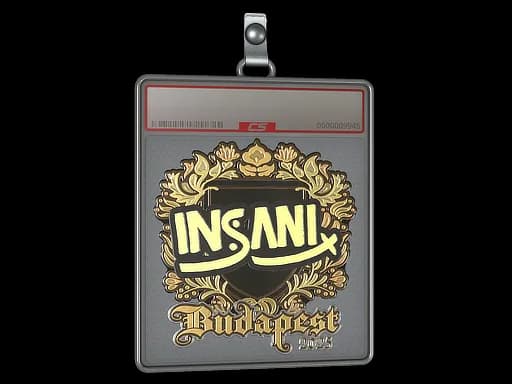 Sticker Slab | insani (Gold) | Budapest 2025