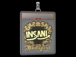 Sticker Slab | insani (Gold) | Budapest 2025