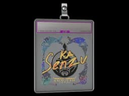 Sticker Slab | Senzu (Holo) | Austin 2025