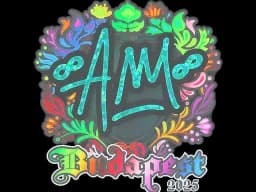 Sticker | AW (Holo) | Budapest 2025