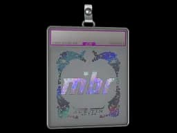 Sticker Slab | MIBR (Holo) | Austin 2025