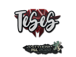 Sticker | TeSeS | Antwerp 2022