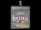 Sticker Slab | broky (Champion) | Antwerp 2022 CS2 skin