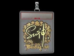 Sticker Slab | C4LLM3SU3 (Gold) | Budapest 2025