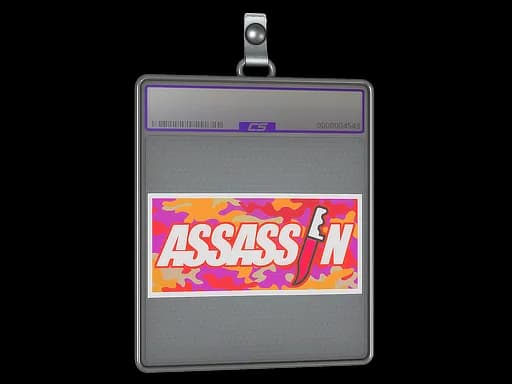 Sticker Slab | Assassin (Holo)