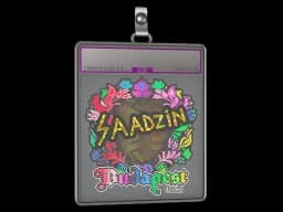 Sticker Slab | saadzin (Holo) | Budapest 2025