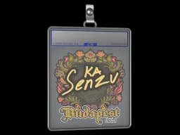 Sticker Slab | Senzu | Budapest 2025