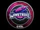 Sticker | Winstrike Team | Katowice 2019 CS2 skin