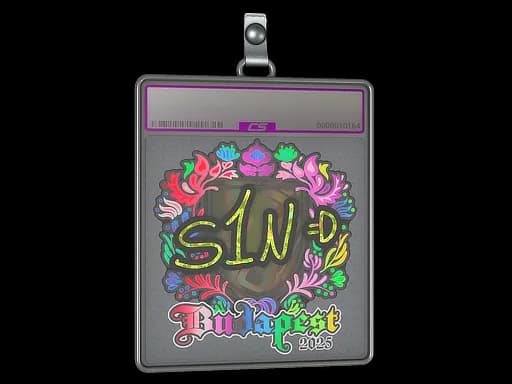 Sticker Slab | s1n (Holo) | Budapest 2025