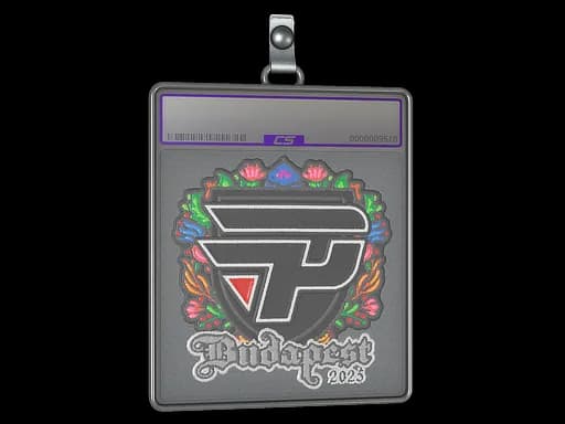 Sticker Slab | paiN Gaming (Embroidered) | Budapest 2025