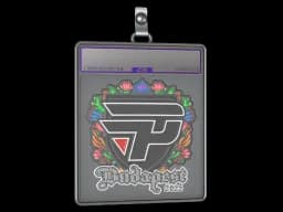 Sticker Slab | paiN Gaming (Embroidered) | Budapest 2025