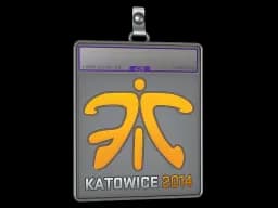 Sticker Slab | Fnatic (Holo) | Katowice 2014