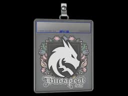 Sticker Slab | Team Spirit | Budapest 2025