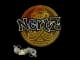 Sticker | NertZ (Glitter) | Paris 2023 CS2 skin