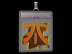 Sticker Slab | Fnatic (Foil) | Atlanta 2017