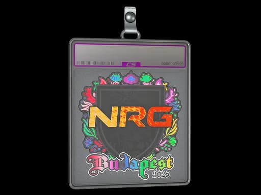 Sticker Slab | NRG (Holo) | Budapest 2025
