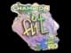 Sticker | FL1T (Holo, Champion) | Rio 2022 CS2 skin