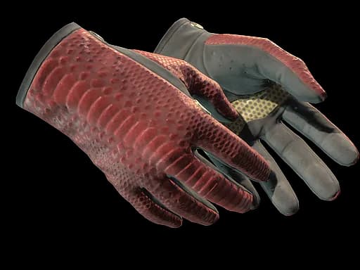★ Driver Gloves | Dragon Fists (Battle-Scarred)