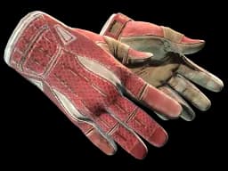 ★ Sport Gloves | Slingshot (Well-Worn)