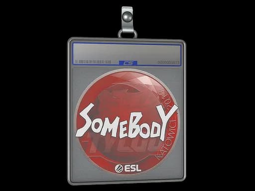 Sticker Slab | somebody | Katowice 2019