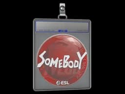 Sticker Slab | somebody | Katowice 2019