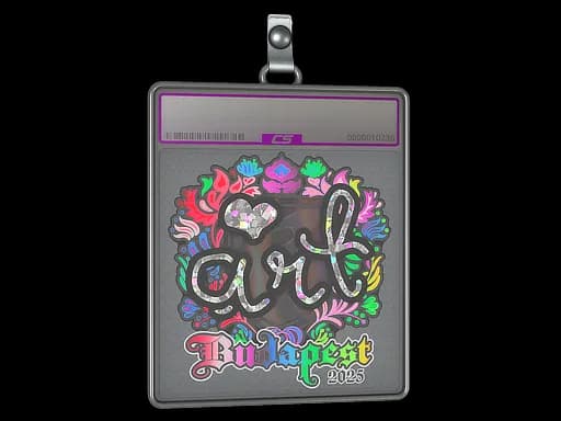 Sticker Slab | arT (Holo) | Budapest 2025