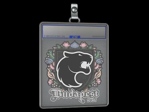 Sticker Slab | FURIA | Budapest 2025